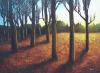 Tramonto